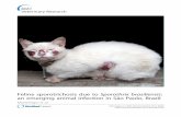 Feline sporotrichosis due to Sporothrix brasiliensis an ...