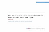 Blueprint for Innovative Healthcare Access
