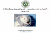 Ethical considerations in experimental animal’s research