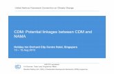 CDM: Potential linkages between CDM and NAMA - United Nations