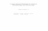 Corpus-Based Methods in Chinese Morphology and Phonology