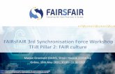 TFiR Pillar 2: FAIR culture FAIRsFAIR 3rd Synchronisation ...