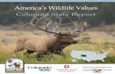 Colorado State Report