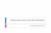 Plant Viruses - An-Najah Videos