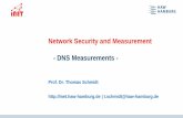 Network Security and Measurement - DNS Measurements - inet ...