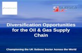 Diversification Opportunities for the Oil & Gas Supply Chain