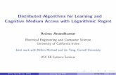 Distributed Algorithms for Learning and Cognitive Medium