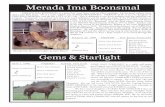 Merada Ima Boonsmal - Weaver Quarter Horses