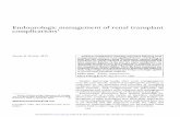 Endourologic management of renal transplant complications