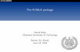 The R-INLA package