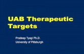 UAB Therapeutic Targets - Underactive bladder
