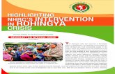 INTERVENTION IN ROHINGYA CRISIS - nhrc.portal.gov.bd