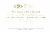 Witness Protocol - Dáil Éireann