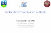 Molecular Dynamics: an outlook - OIST Groups
