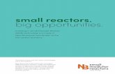 small reactors. big opportunities.