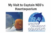 My Visit to Captain NEO’s Hauntaquarium