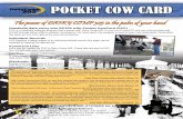 Handheld data entry into DC305 with Pocket CowCard (PCC)