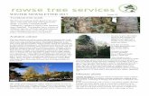 WINTER NEWSLETTER 2017 Issue 19 - Rowse Tree Services