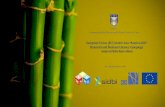 European Union (EU) Switch Asia “Bamboo4SD Financial and ...