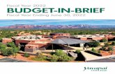 Fiscal Year 2022 BUDGET-IN-BRIEF