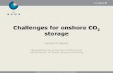Challenges for onshore CO2 storage