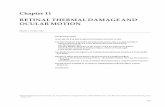 Chapter 11 RETINAL THERMAL DAMAGE AND OCULAR MOTION