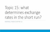 Topic 15: what determines exchange rates in the short run?