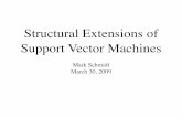 Structural Extensions of Support Vector Machines