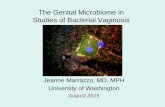 The Genital Microbiome in Studies of Bacterial Vaginosis