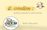 E. coslim - 2012.igem.org