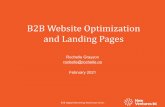 B2B Website Optimization and Landing Pages