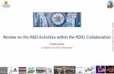 Review on the R&D Activities within the RD51 Collaboration