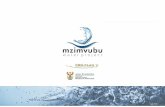 Mzimvubu Water Scheme 20161107