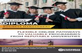 Executive Diploma NBUC-Brochure
