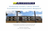 Galmoy Lead / Zinc Plant Condition Inspection Report