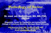 Pathology of Swine - Animal Health Australia