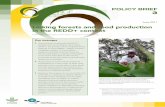 June 2011 Linking forests and food production in the REDD+