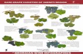 RARE GRAPE VARIETIES OF IMERETI REGION