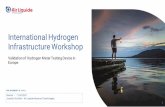 International Hydrogen Infrastructure Workshop
