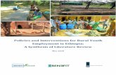 Policies and Interventions for Rural Youth Employment in ...