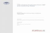 Title CDP-Choline Production from CMP and Choline by ...