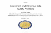 Assessment of 2020 Census Data Quality Processes