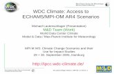 WDC Climate: Access to ECHAM5/MPI-OM AR4 Scenarios