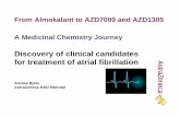 Discovery of clinical candidates for treatment of atrial ...