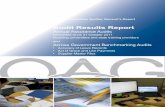 Audit Results Report