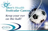 Testicular cancer - The Cancer Association of South Africa
