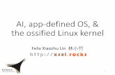 AI, app-defined OS, and the ossified kernel