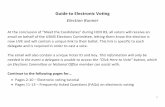 Guide to Electronic Voting