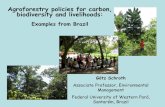 Agroforestry policies for carbon, biodiversity and livelihoods