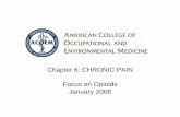 Chapter 6: CHRONIC PAIN Focus on Opioids January 2008
